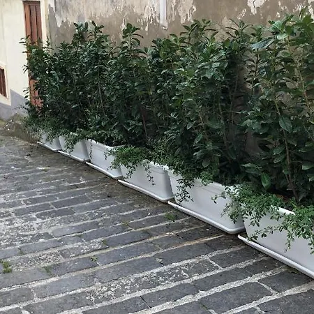 Casa de Férias A Casa Da Anita