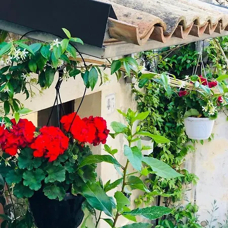 Holiday home A Casa Da Anita