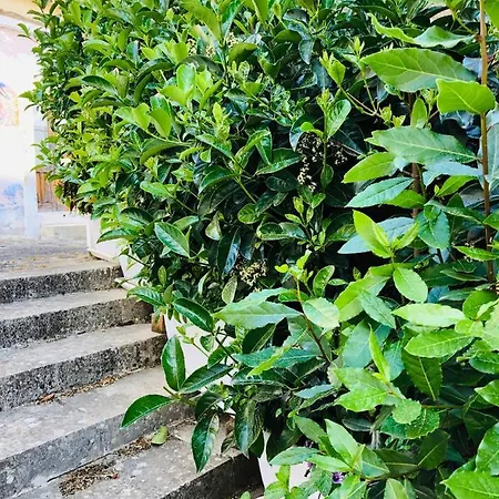 A Casa Da Anita *