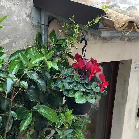 A Casa Da Anita Holiday home *